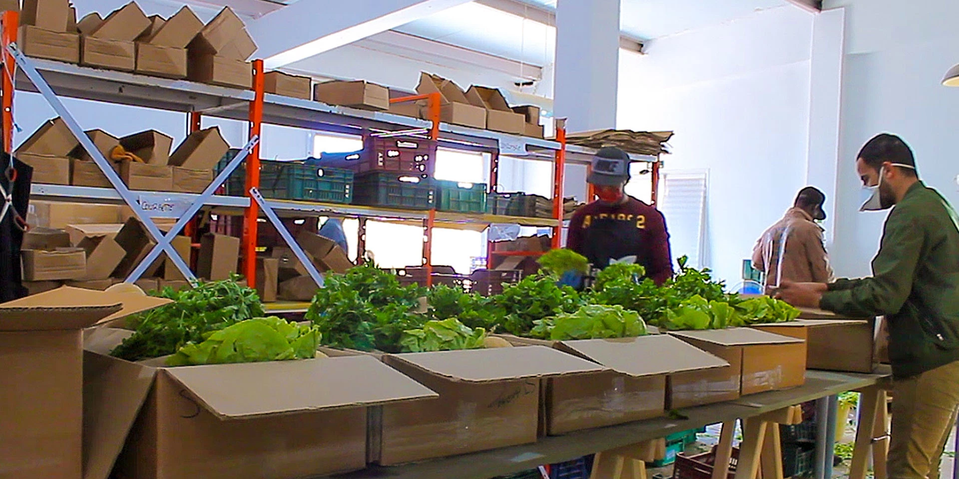 Farm Trust employees pack fruits and vegetables for delivery in the greater Tunis area. The start-up supplies 80 boxes on a daily basis.Photographer: Salma Aloui