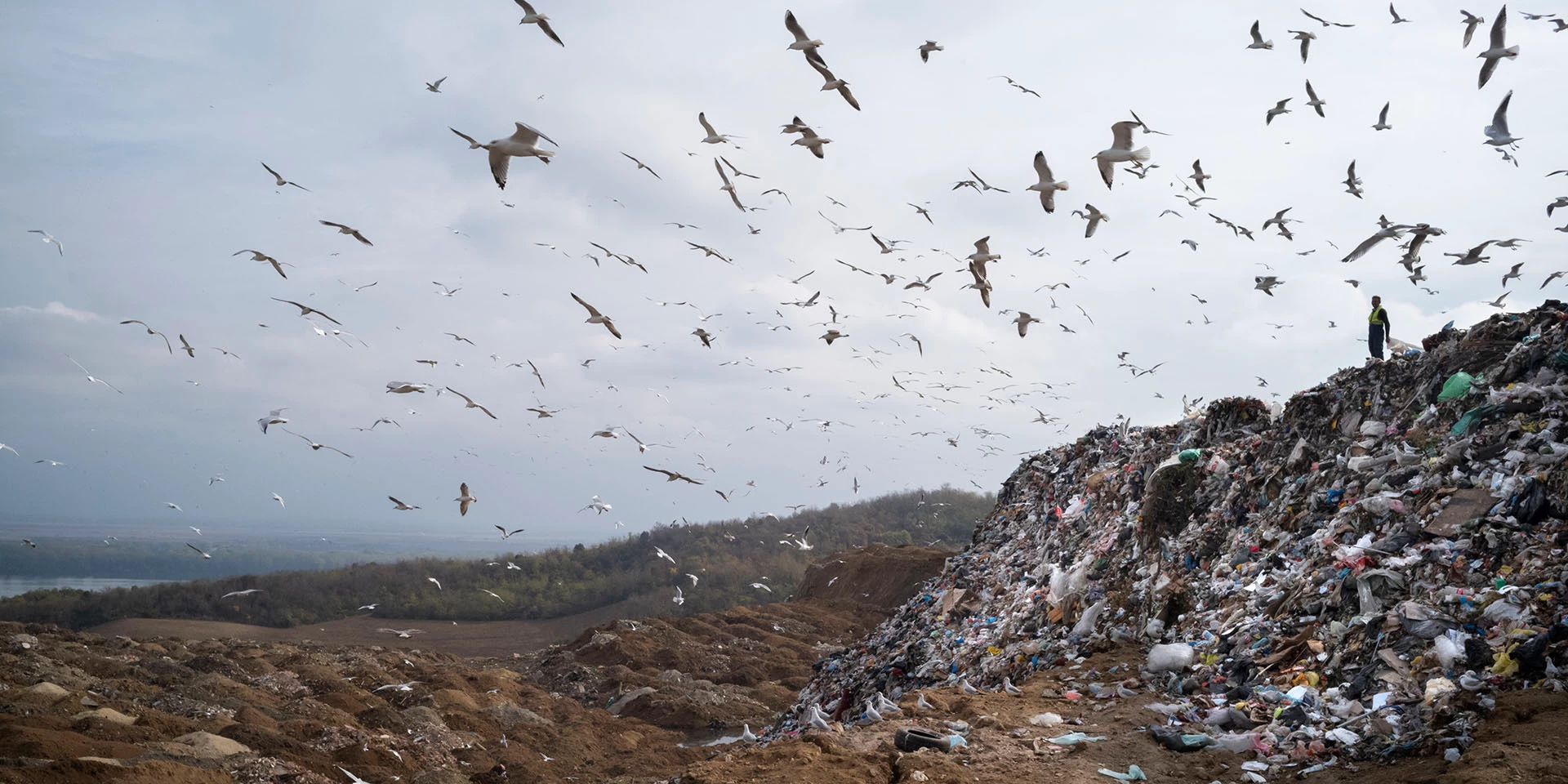 On October 31, 2019, a waste picker looks toward the Danube River while working at the Vinča Landfill in Belgrade, Serbia. The landfill’s trash is rolling toward the Danube, and is leeching toxic water into the water supply. Photo © Dominic Chavez/International Finance Corporation