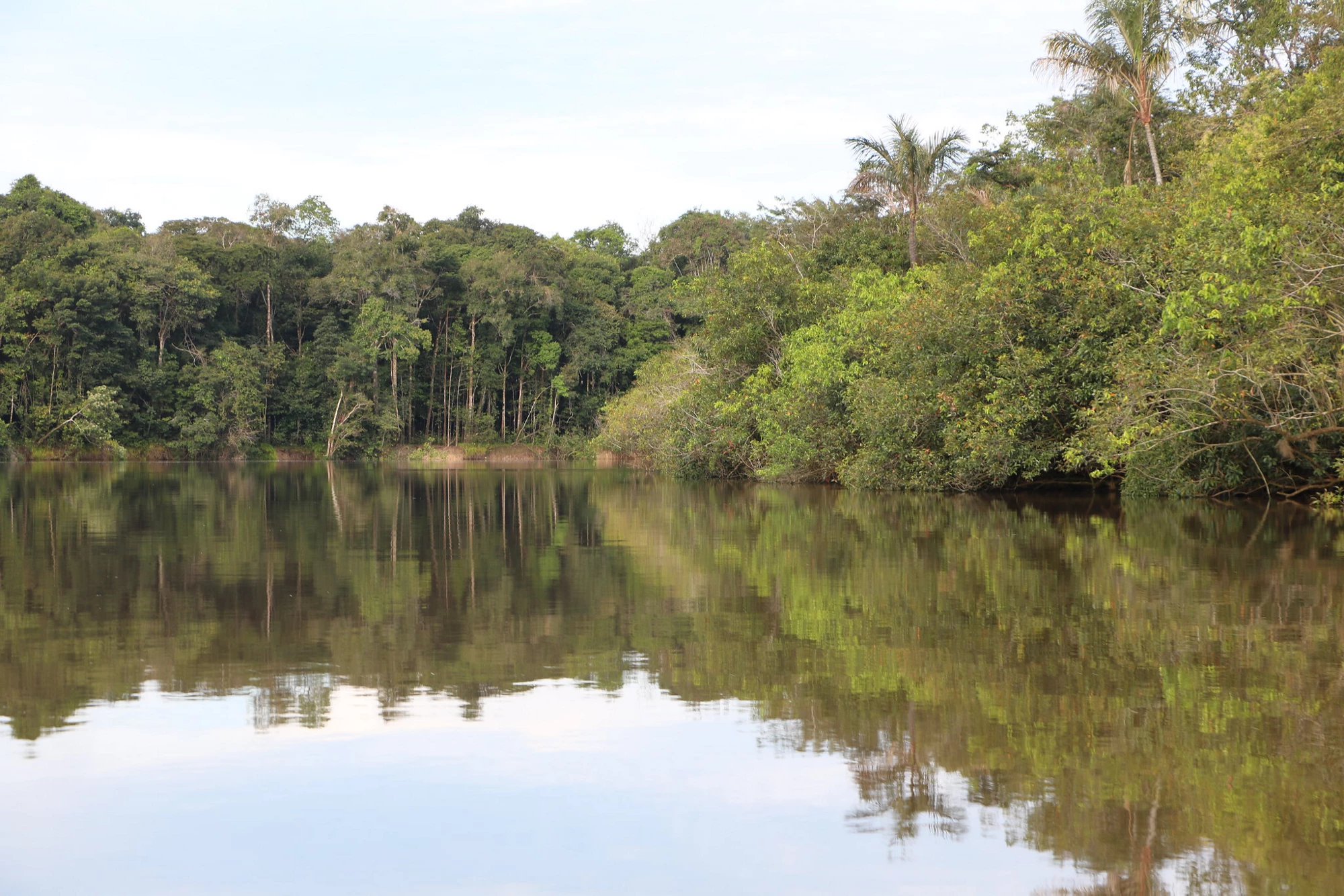 biodiversity in colombia